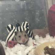 ヒメ日記 2025/10/03 11:24 投稿 マオ【心が忘れた極乱秘悦体験】 秘書コレクション 高松店