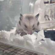 ヒメ日記 2025/10/15 19:54 投稿 マオ【心が忘れた極乱秘悦体験】 秘書コレクション 高松店