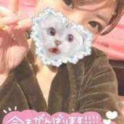 マオ【心が忘れた極乱秘悦体験】 ほやほや 秘書コレクション 高松店