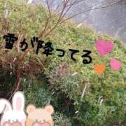 ヒメ日記 2025/03/03 15:34 投稿 れんか 奥様特急　上野・鶯谷店