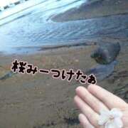 ヒメ日記 2025/03/08 18:24 投稿 れんか 奥様特急　上野・鶯谷店