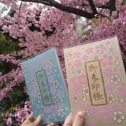 ヒメ日記 2025/03/10 19:14 投稿 れんか 奥様特急　上野・鶯谷店