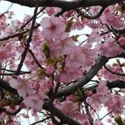 ヒメ日記 2025/03/07 09:45 投稿 朝倉　しおり 30・40・50代☆人妻熟女コレクション