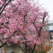 ヒメ日記 2025/03/08 17:45 投稿 朝倉　しおり 30・40・50代☆人妻熟女コレクション