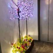 ヒメ日記 2025/04/12 18:31 投稿 朝倉　しおり 30・40・50代☆人妻熟女コレクション