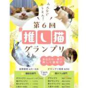 ヒメ日記 2025/04/22 19:15 投稿 朝倉　しおり 30・40・50代☆人妻熟女コレクション