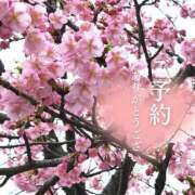 ヒメ日記 2025/04/23 18:45 投稿 朝倉　しおり 30・40・50代☆人妻熟女コレクション