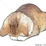 ヒメ日記 2025/05/10 12:45 投稿 朝倉　しおり 30・40・50代☆人妻熟女コレクション