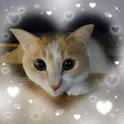 ヒメ日記 2025/05/12 18:45 投稿 朝倉　しおり 30・40・50代☆人妻熟女コレクション