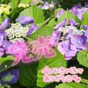 ヒメ日記 2025/06/06 17:29 投稿 朝倉　しおり 30・40・50代☆人妻熟女コレクション