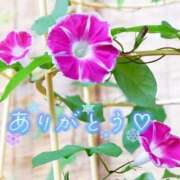 ヒメ日記 2025/07/26 12:31 投稿 朝倉　しおり 30・40・50代☆人妻熟女コレクション