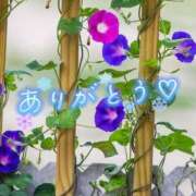 ヒメ日記 2025/07/26 12:45 投稿 朝倉　しおり 30・40・50代☆人妻熟女コレクション