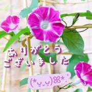 ヒメ日記 2025/08/10 18:45 投稿 朝倉　しおり 30・40・50代☆人妻熟女コレクション