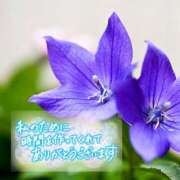 ヒメ日記 2025/09/03 17:58 投稿 朝倉　しおり 30・40・50代☆人妻熟女コレクション