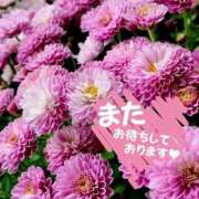 ヒメ日記 2025/09/04 18:15 投稿 朝倉　しおり 30・40・50代☆人妻熟女コレクション