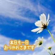 ヒメ日記 2025/09/08 18:30 投稿 朝倉　しおり 30・40・50代☆人妻熟女コレクション