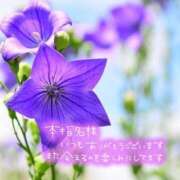 ヒメ日記 2025/09/12 16:26 投稿 朝倉　しおり 30・40・50代☆人妻熟女コレクション