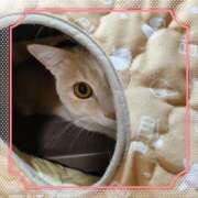 ヒメ日記 2025/10/10 13:55 投稿 朝倉　しおり 30・40・50代☆人妻熟女コレクション