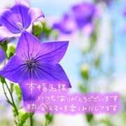 ヒメ日記 2025/10/31 17:02 投稿 朝倉　しおり 30・40・50代☆人妻熟女コレクション