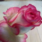 ヒメ日記 2025/05/17 19:40 投稿 中山菜々 五十路マダム 新潟店(カサブランカグループ)