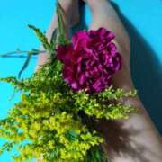 ヒメ日記 2025/05/25 18:42 投稿 中山菜々 五十路マダム 新潟店(カサブランカグループ)