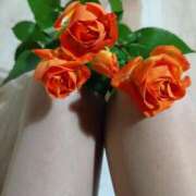 ヒメ日記 2025/06/14 19:50 投稿 中山菜々 五十路マダム 新潟店(カサブランカグループ)