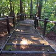 ヒメ日記 2025/07/24 21:50 投稿 中山菜々 五十路マダム 新潟店(カサブランカグループ)