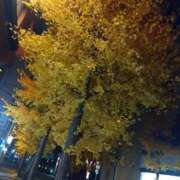 中山菜々 こころも…からだも… 五十路マダム 新潟店(カサブランカグループ)