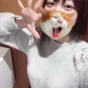 ヒメ日記 2025/03/31 17:44 投稿 水嶋ここあ 池袋パラダイス