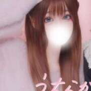 ヒメ日記 2025/04/16 00:05 投稿 水嶋ここあ 池袋パラダイス