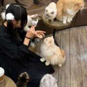 ヒメ日記 2025/05/03 17:19 投稿 水嶋ここあ 池袋パラダイス