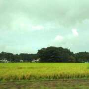 ヒメ日記 2025/08/07 18:59 投稿 水嶋ここあ 池袋パラダイス