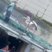 ヒメ日記 2025/08/25 18:49 投稿 水嶋ここあ 池袋パラダイス