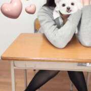 ヒメ日記 2025/11/17 23:59 投稿 水嶋ここあ 池袋パラダイス