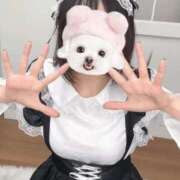 ヒメ日記 2025/12/14 13:59 投稿 水嶋ここあ 池袋パラダイス