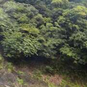 ヒメ日記 2026/08/16 17:19 投稿 水嶋ここあ 池袋パラダイス