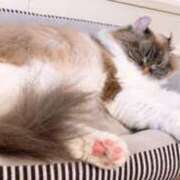 ヒメ日記 2025/03/10 07:54 投稿 ゆずき マリンマリン