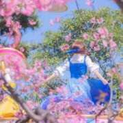 ヒメ日記 2025/03/17 07:05 投稿 ゆずき マリンマリン