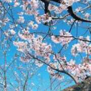 ヒメ日記 2025/03/27 08:20 投稿 ゆずき マリンマリン