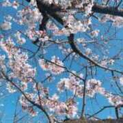 ヒメ日記 2025/04/13 13:04 投稿 ゆずき マリンマリン