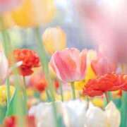 ヒメ日記 2025/04/17 12:31 投稿 ゆずき マリンマリン