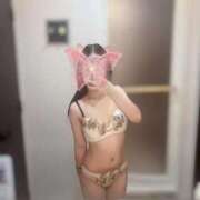 ヒメ日記 2025/11/27 10:54 投稿 ゆずき マリン熊本本店