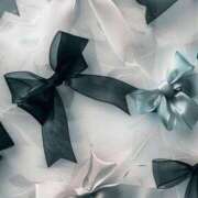 ヒメ日記 2025/11/29 16:24 投稿 ゆずき マリン熊本本店