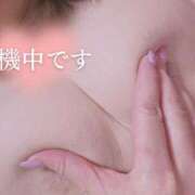 ヒメ日記 2025/05/14 16:13 投稿 桃瀬　凛 熟女パラダイス池袋店(カサブランカグループ)