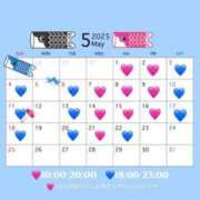 ヒメ日記 2025/05/01 06:34 投稿 ゆう Evolution 2nd