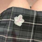 ヒメ日記 2026/04/07 20:24 投稿 なの みつらん鉄道