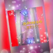 ヒメ日記 2025/04/15 13:28 投稿 新堂　かりな PLATINA R-30（すすきの）