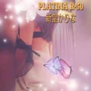 ヒメ日記 2025/05/26 18:29 投稿 新堂　かりな PLATINA R-30（すすきの）