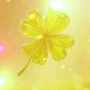 ヒメ日記 2025/11/03 17:29 投稿 新堂　かりな PLATINA R-30（すすきの）