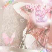 ヒメ日記 2025/11/04 12:28 投稿 新堂　かりな PLATINA R-30（すすきの）